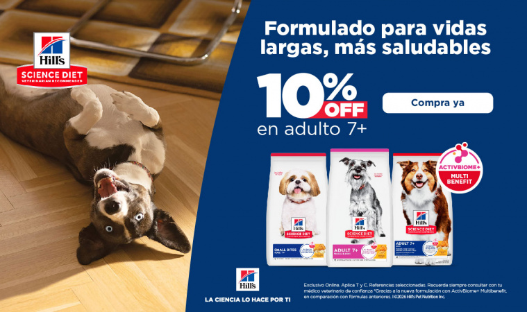 Hills 7+ perro